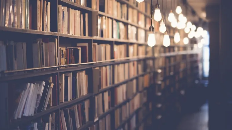 Multilingual Writing: How to Write Effectively in Both German and English